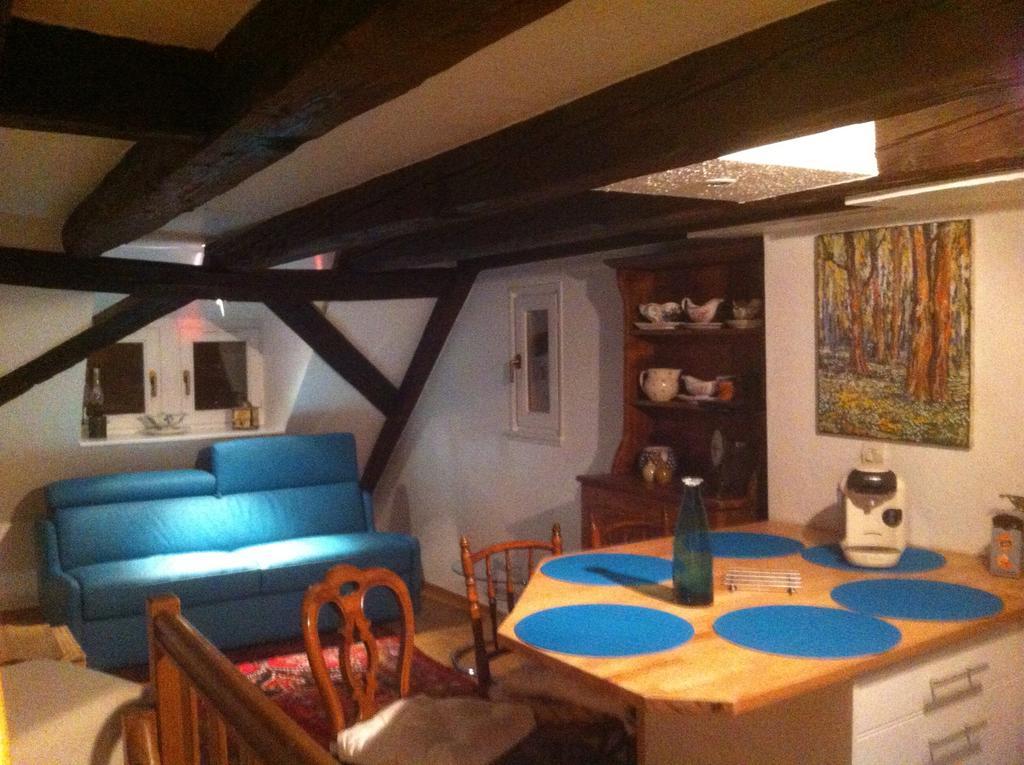 Appartement Triplex Avec Terrasse Vue Sur Cathedrale Strasbourg