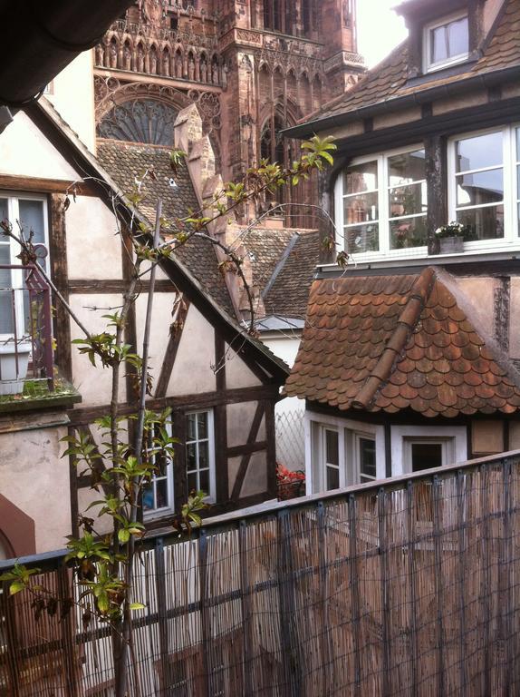 Appartement Triplex Avec Terrasse Vue Sur Cathedrale Strasbourg