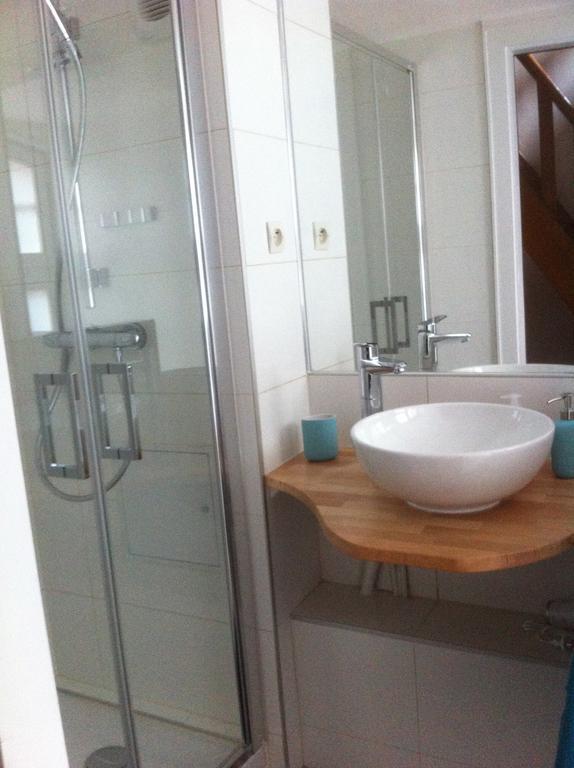Appartement Triplex Avec Terrasse Vue Sur Cathedrale Strasbourg